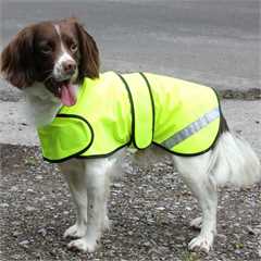 99_Safety_Dog_Coat[2].jpg